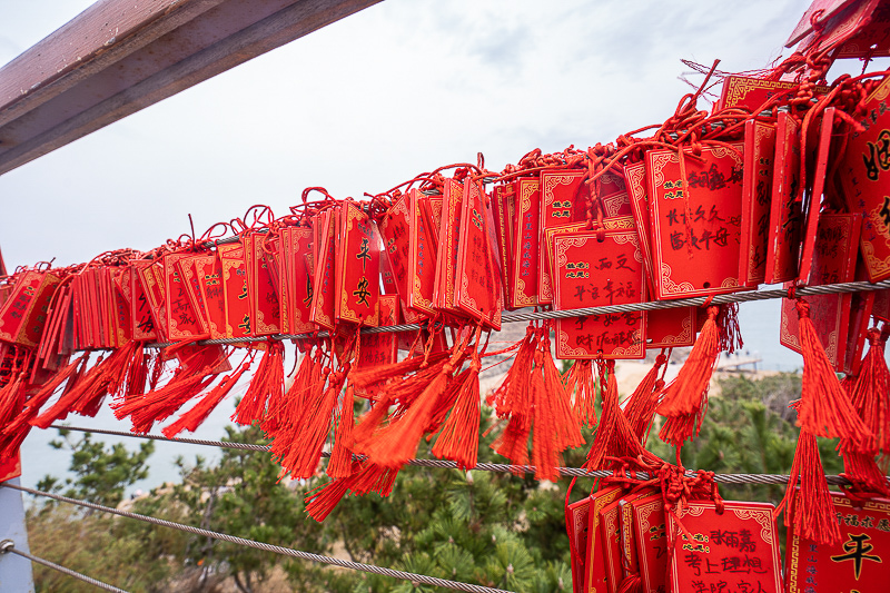 青岛景点实拍｜青岛大巴租赁哪家专业？君悦畅旅 Group Tran