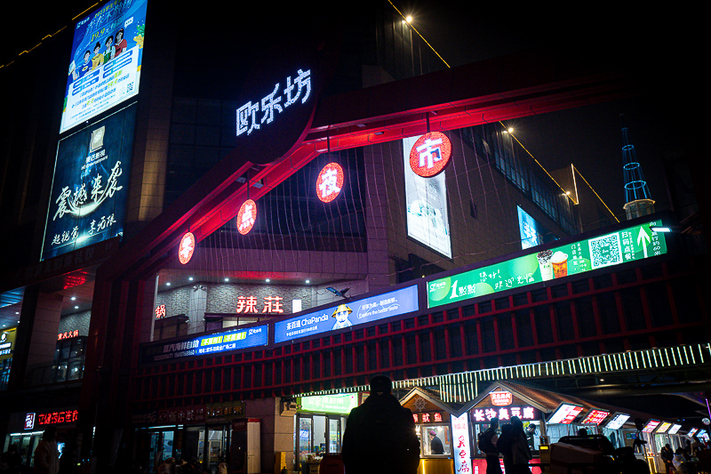 青岛景点实拍｜青岛包车带司机哪种服务更适合家庭？君悦轻旅 Priv