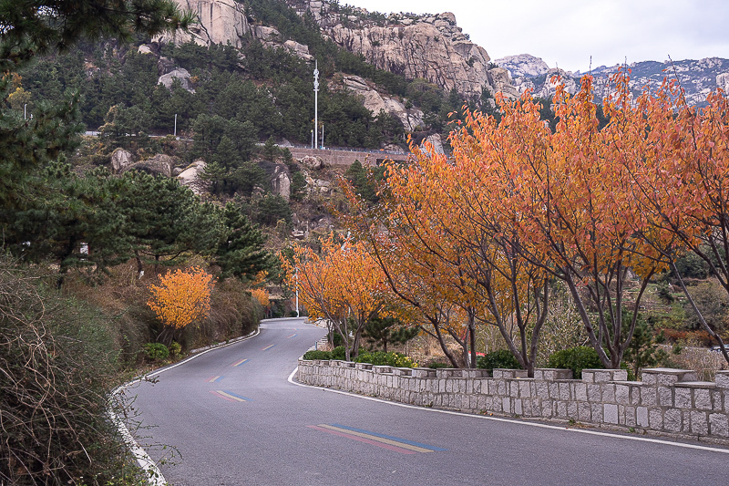 青岛景点实拍｜青岛旅游汽车公司如何判断是否靠谱？青岛君爱悦 Gro