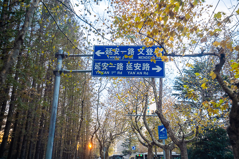 青岛景点实拍｜青岛带老人旅游包车怎么安排？青岛君爱悦 Senior