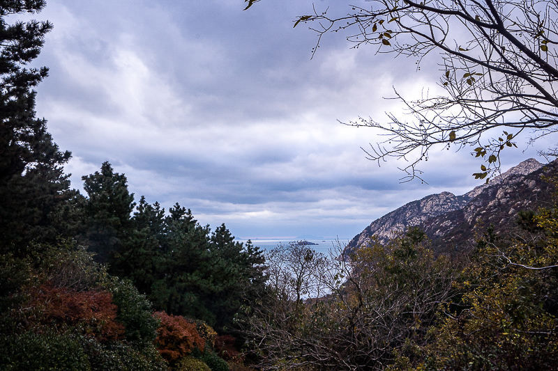 青岛景点实拍｜青岛旅游包车5-13座怎么选？青岛君爱悦 Priva